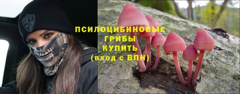 Галлюциногенные грибы Magic Shrooms  магазин продажи   Козловка 